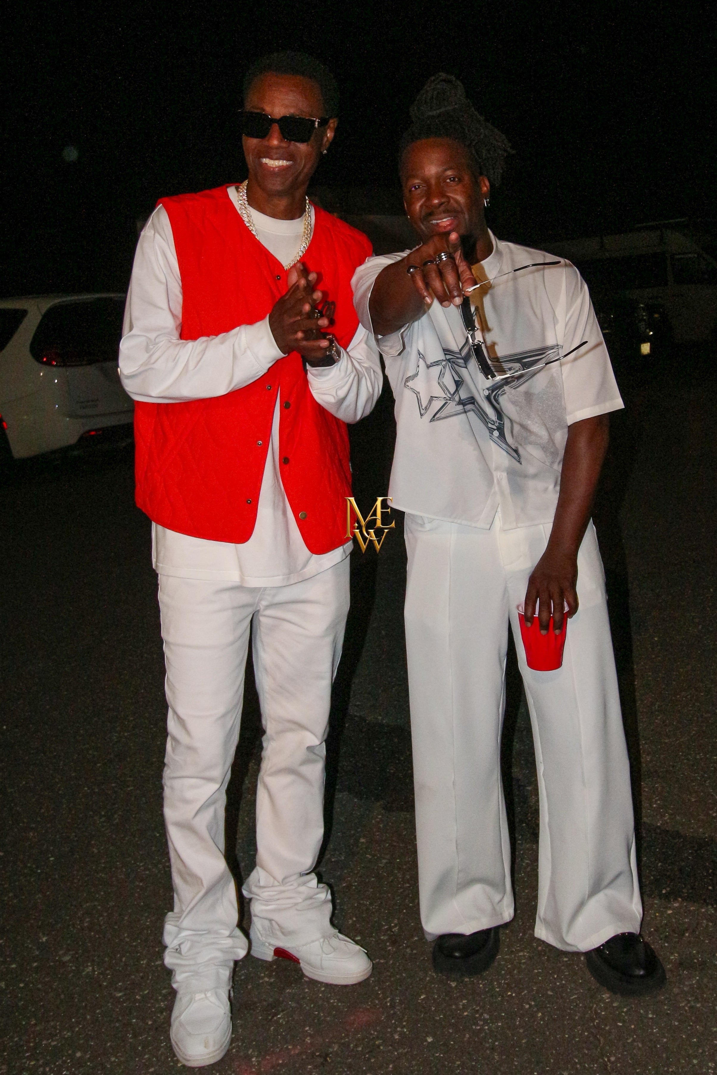 Wayne Wonder Brings Reggae Energy to the Long Island Reggae Festival at Eisenhower Park